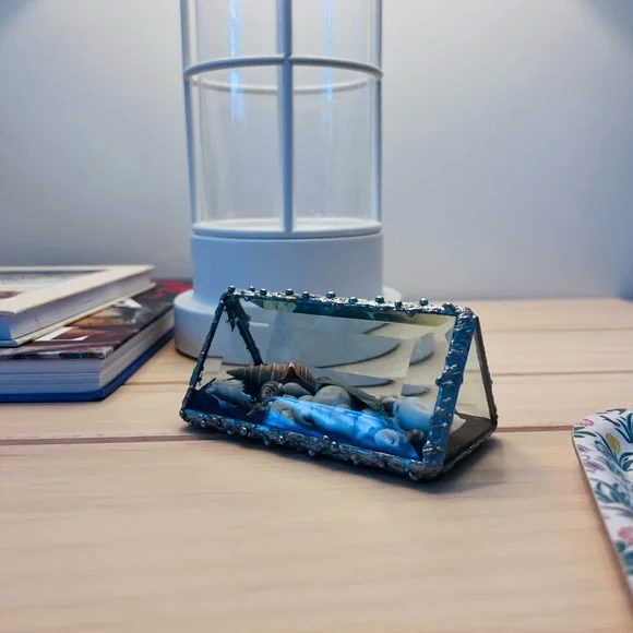 Glass Terrarium with Seashells - Picture 3 of 3